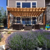 1901 Pergola Outdoor Living Space and Patio